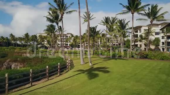 夏威夷莫伊市日光下美丽的热带度假胜地蒙太奇卡帕卢阿附近棕榈树全景视频的预览图