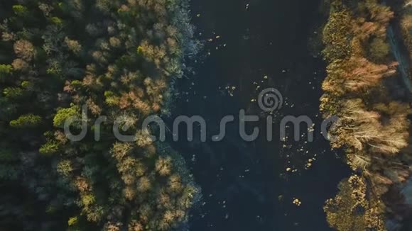 松林中的湖被冰覆盖着视频的预览图
