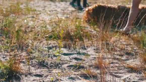 田间用干草和稻草风中有一片枯草夏日日落时田野里干枯的金草视频的预览图