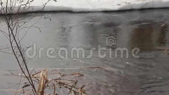 春溪的融水视频的预览图