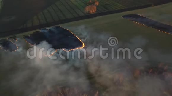 空中观景录像收获后在玉米地开火燃烧生物质视频的预览图