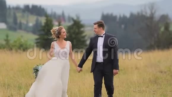 结婚夫妇在山上散步视频的预览图