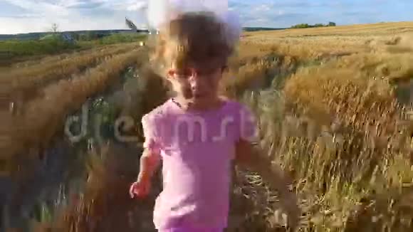 女孩跑过田野田上麦收已收带安定的相机在视频的预览图