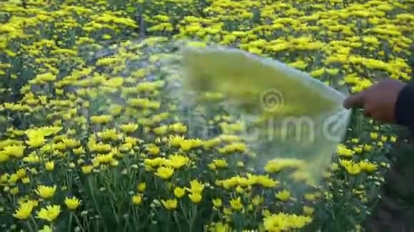 快乐的人浇灌花草视频的预览图