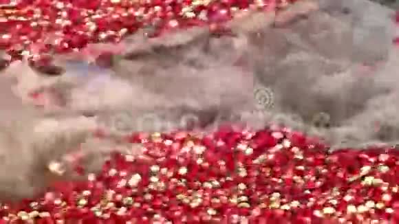 浇水蔓越莓漂浮视频的预览图