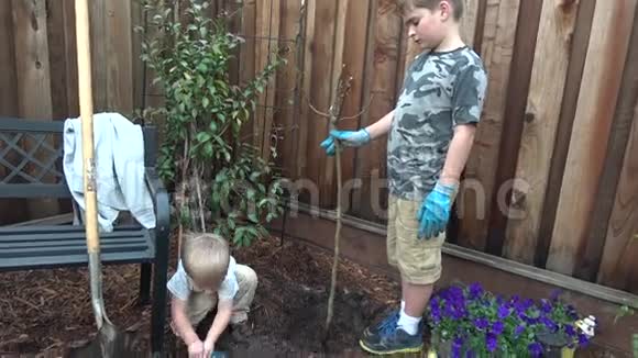 两个男孩在后院种树视频的预览图