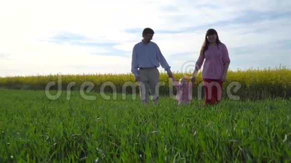 一家人带着一个女儿走过春天的绿色草地视频的预览图