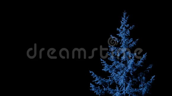 黑风中的月光树视频的预览图