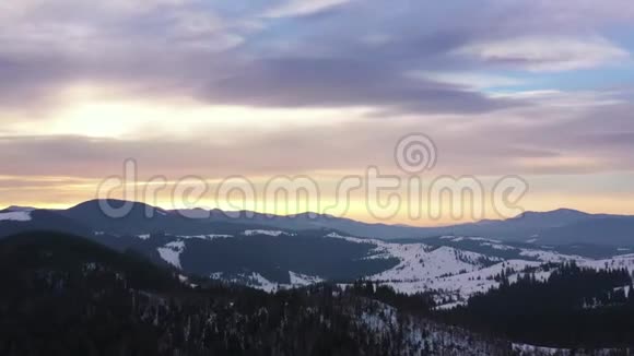 从云层的高度俯瞰蓝天俯瞰雪山和山坡上的针叶林景观视频的预览图