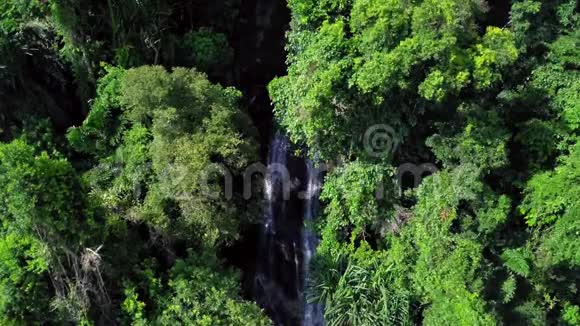 绿林热带瀑布鸟瞰图视频的预览图