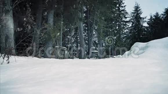 人在树林里穿过厚厚的积雪视频的预览图