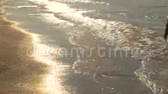 女人的腿在跑海滨视频的预览图