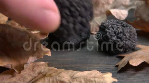 手从黑暗的木质表面取出块茎黑松露视频的预览图