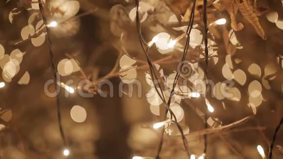 夜晚树上闪烁着模糊的圣诞灯视频的预览图