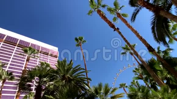 俯瞰棕榈和酒店建筑蓝天视频的预览图