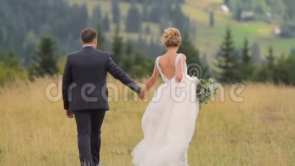 结婚夫妇在山上散步视频的预览图