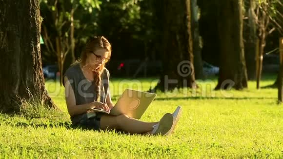 日落时分坐在绿色草坪上用笔记本电脑工作的妇女视频的预览图