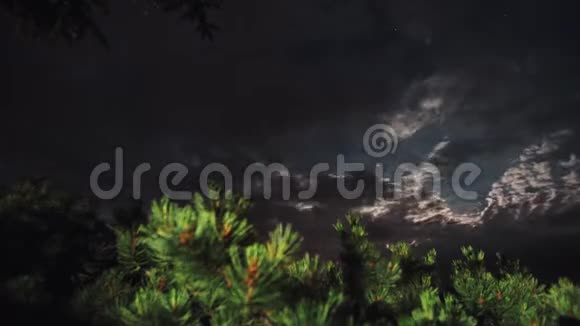 常绿松树森林的昼夜变化多云的天空视频的预览图