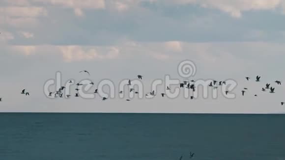 海鸥鸟飞过水面油台和船视频的预览图