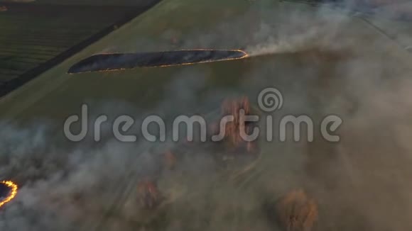 消防车在火灾现场工作的鸟瞰图无人机农民日落烧干草鸟瞰图视频的预览图