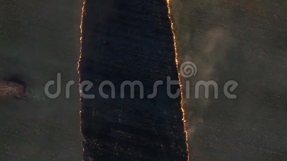 大麦田大火的鸟瞰图向麦田开火森林和草原大火彻底摧毁视频的预览图