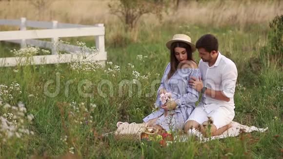未来的爸爸妈妈坐在田里有丈夫的孕妇把手放在肚子上视频的预览图