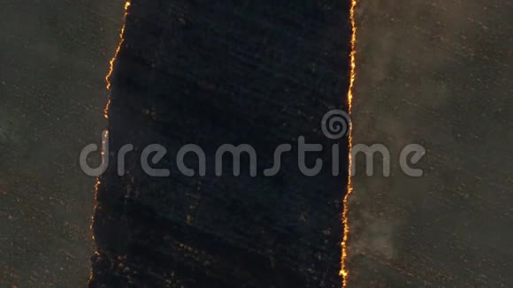 大麦田大火的鸟瞰图向麦田开火森林和草原大火彻底摧毁视频的预览图