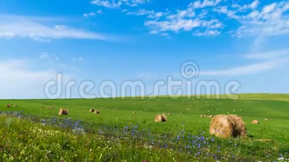 绿草如茵的草地上的干草与蓝天视频的预览图