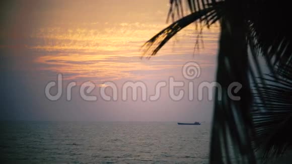 果阿的日落海角和棕榈树的叶子上有船视频的预览图