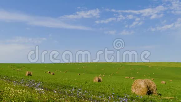 绿草如茵的草地上的干草与蓝天视频的预览图