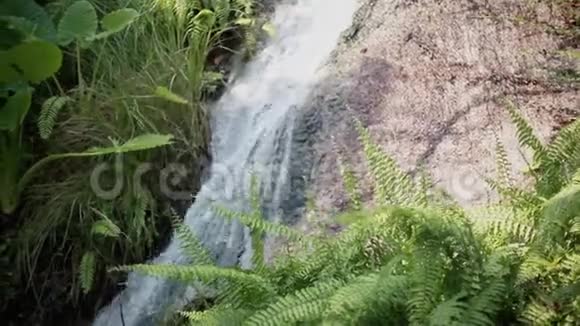 天堂丛林森林与美丽的瀑布泰国翡翠池塘和外来植物慢动作1920x1080视频的预览图