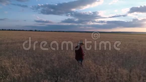 一个女农民监测小麦作物空中勘测麦田俯视图4K慢动作视频视频的预览图