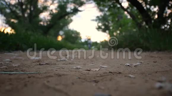 一个年轻的女人在阳光明媚的夏日夜晚在户外跑步视频的预览图