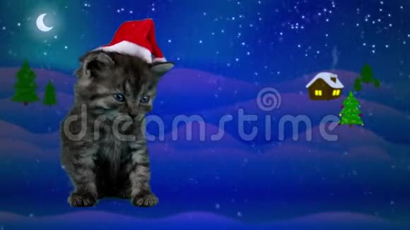 戴着圣诞老人帽子的小猫打哈欠等待圣诞前夜视频的预览图