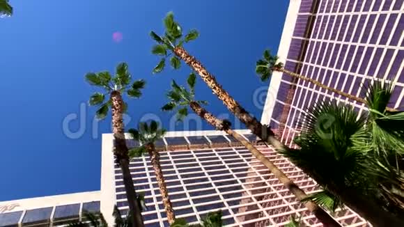 俯瞰棕榈和酒店建筑蓝天视频的预览图