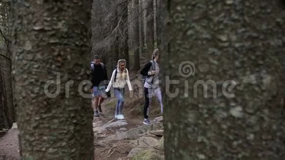 徒步旅行的人徒步三人在山上两个女人和男人背着背包走过森林小径视频的预览图