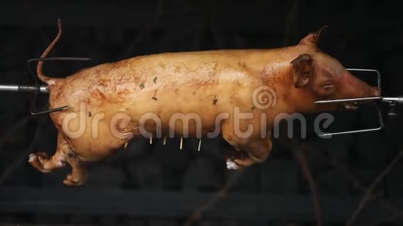 烤猪吐在口水上视频的预览图