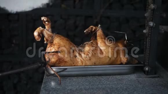 猪在吐痰前做饭视频的预览图