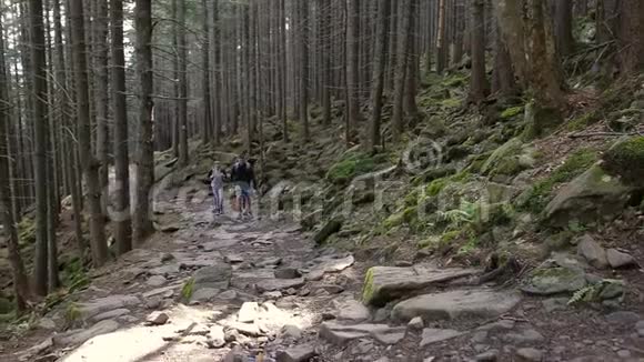 徒步旅行的人徒步三人在山上两个女人和男人背着背包走过森林小径视频的预览图