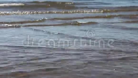 河水中的波浪在后面点燃奥布水库俄罗斯视频的预览图