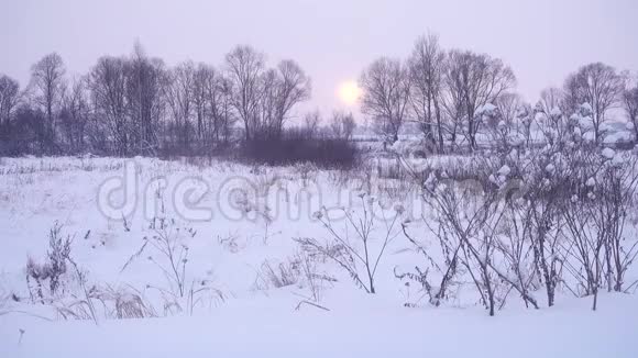 冬天在自然美丽的风景在日落视频的预览图