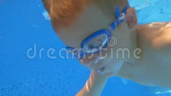 小男孩在亲戚之间的游泳池里游泳视频的预览图