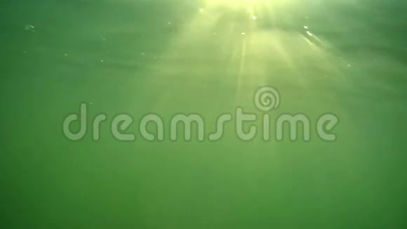 有阳光的水下视野视频的预览图