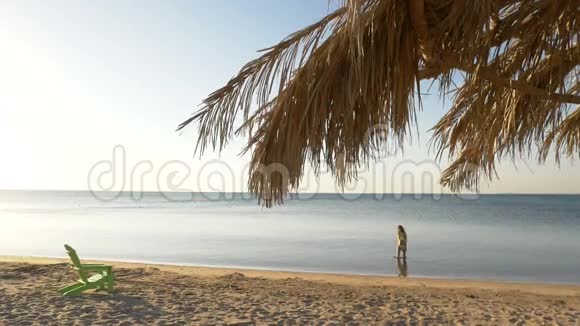 独自一人的女孩在海边的海滩上晒太阳高清高清视频的预览图