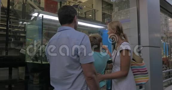 家庭观看水族馆在商店展示窗口视频的预览图
