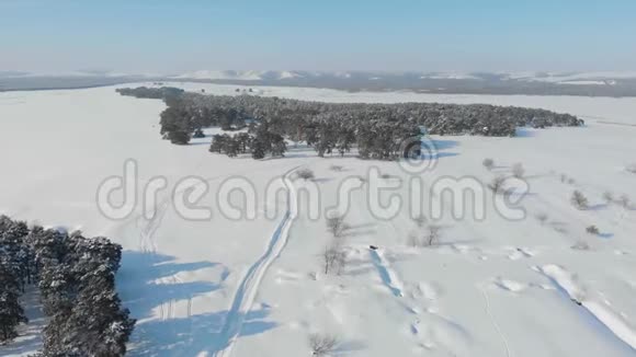 冬季鸟瞰积雪云杉林低飞空中拍摄的大松林覆盖着冬天的雪视频的预览图