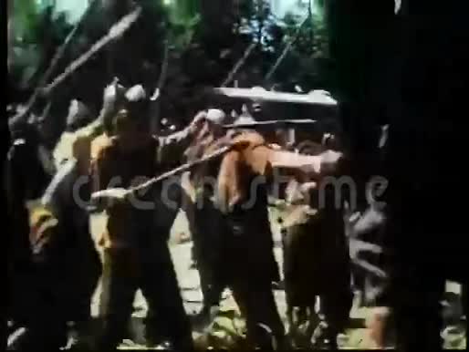 在森林里战斗的中世纪战士视频的预览图