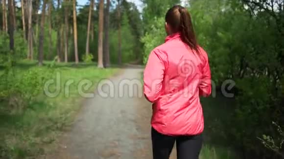 清晨穿着粉红色毛衣的漂亮女孩正在树林里慢跑在一片年轻的树木的背景下视频的预览图