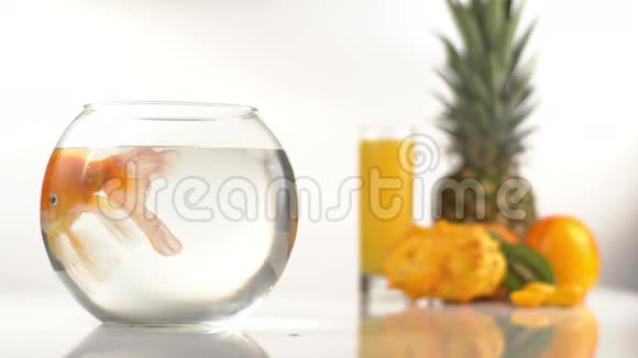 橙色的构图包括在模糊的水族馆里游泳的金色鱼的特写镜头视频的预览图