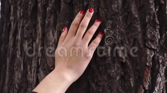 女人的手拿着一棵树视频的预览图
